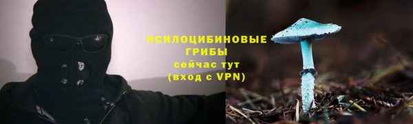 PSILOCYBIN Ачинск