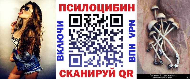 купить сайты kraken ONION Галлюциногенные грибы Magic Shrooms Почеп